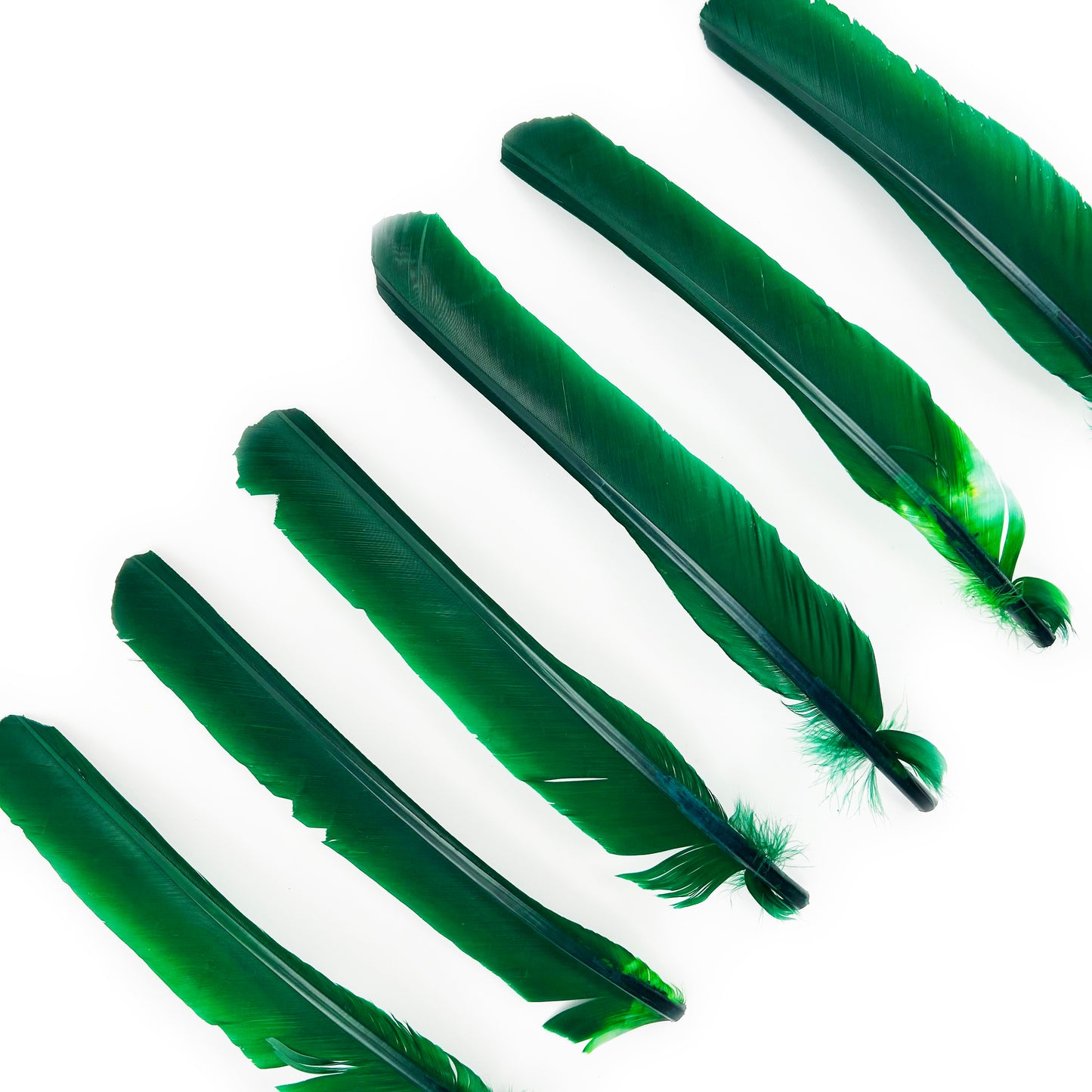 Kelly Green Cut Turkey Pointer Feathers 8-12"