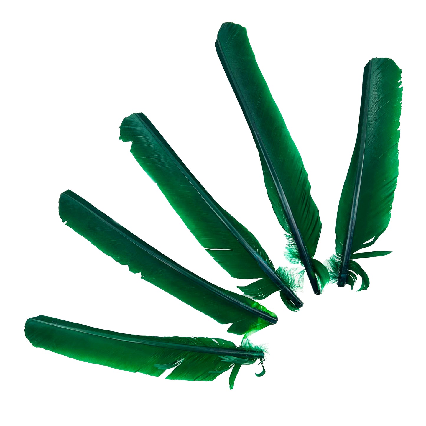 Kelly Green Cut Turkey Pointer Feathers 8-12"