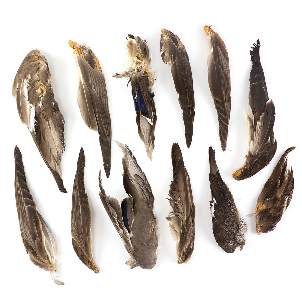 Grey Duck Wing #2 Grade Natural - Feathers