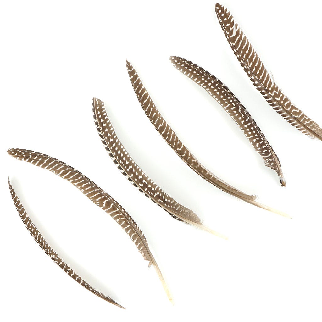 Guinea Feather Pointers Natural - Feathers