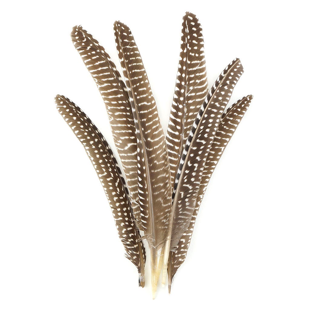 Guinea Feather Pointers Natural - Feathers