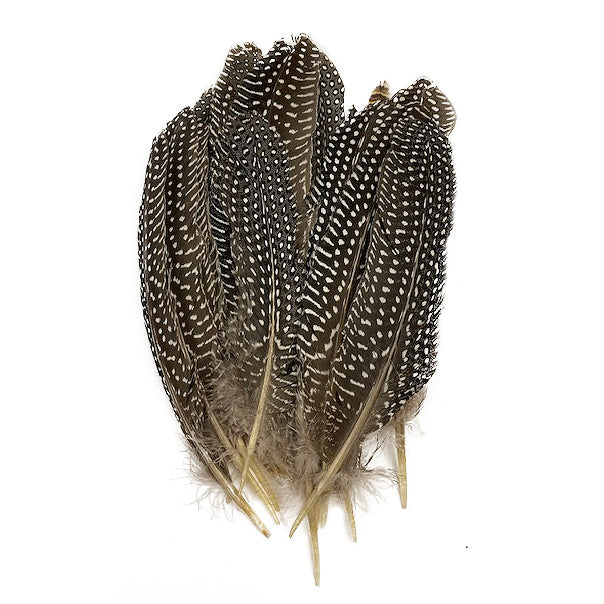 Guinea Feather Rounds - Natural - Feathers