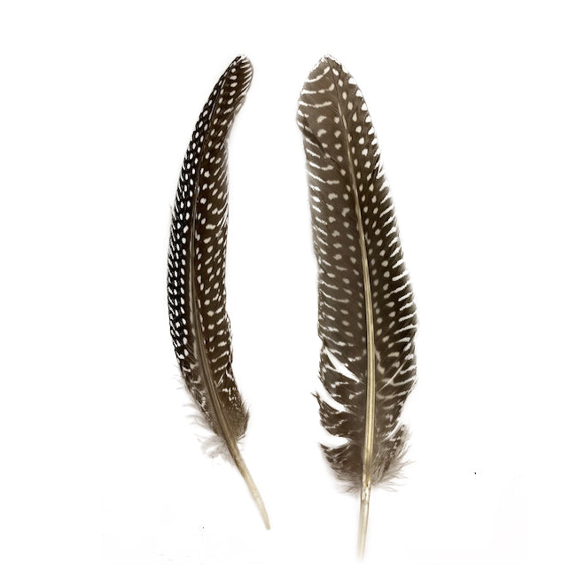 Guinea Feather Rounds - Natural - Feathers