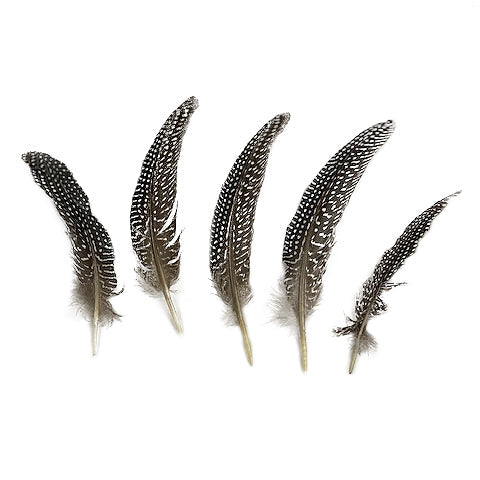 Guinea Feather Rounds - Natural - Feathers