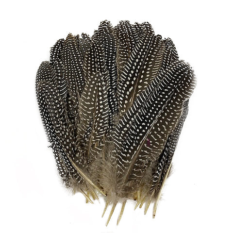 Guinea Feather Rounds - Natural - Feathers