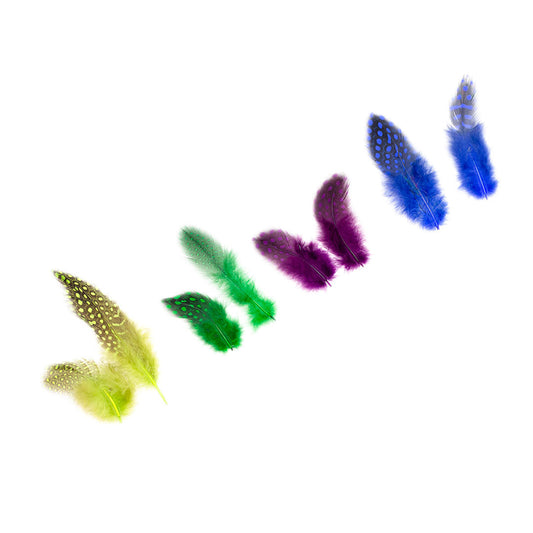 Guinea Hen - Plumage Feathers 1-4’’ - Mix Dyed Cool Colors - Feathers