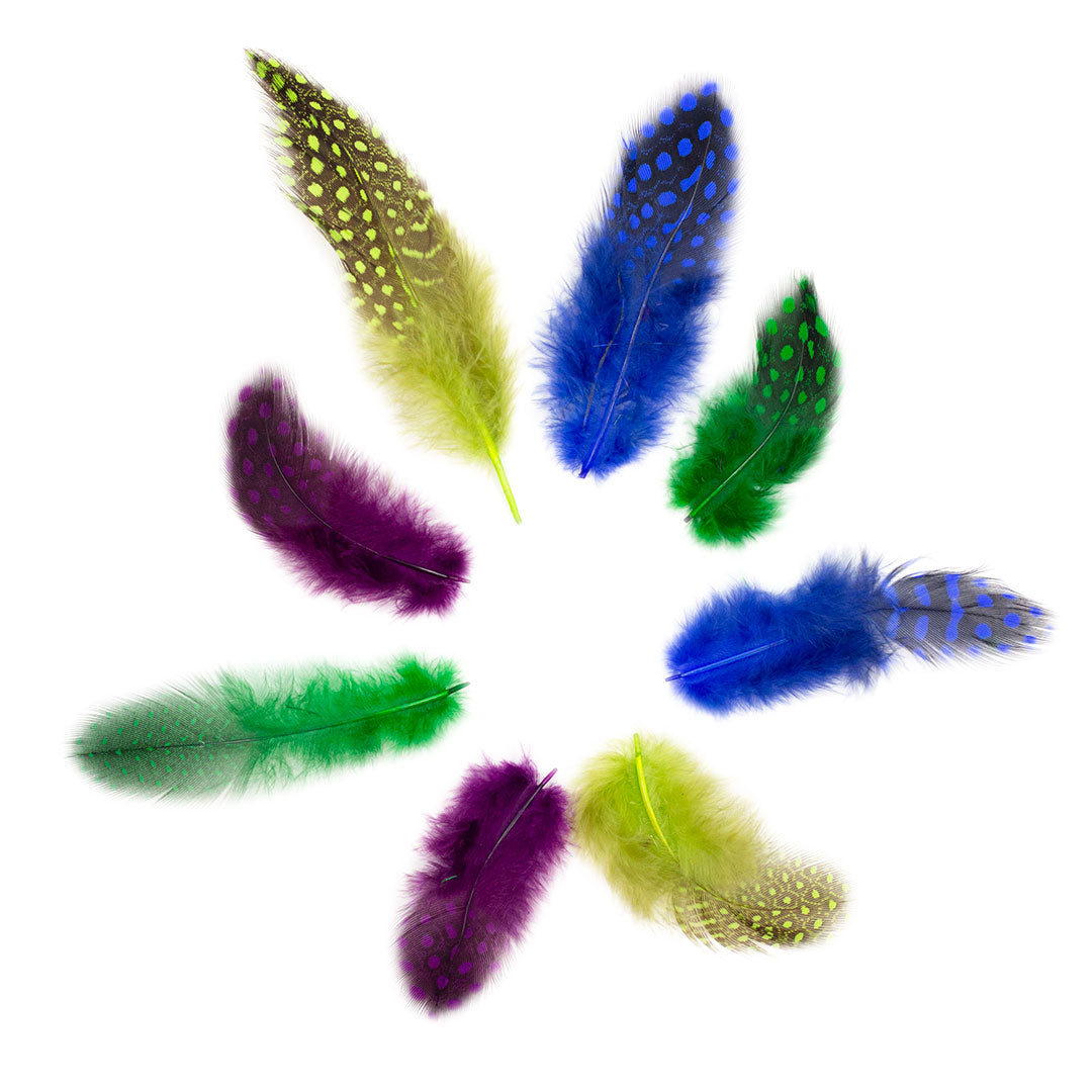 Guinea Hen - Plumage Feathers 1-4’’ - Mix Dyed Cool Colors - Feathers