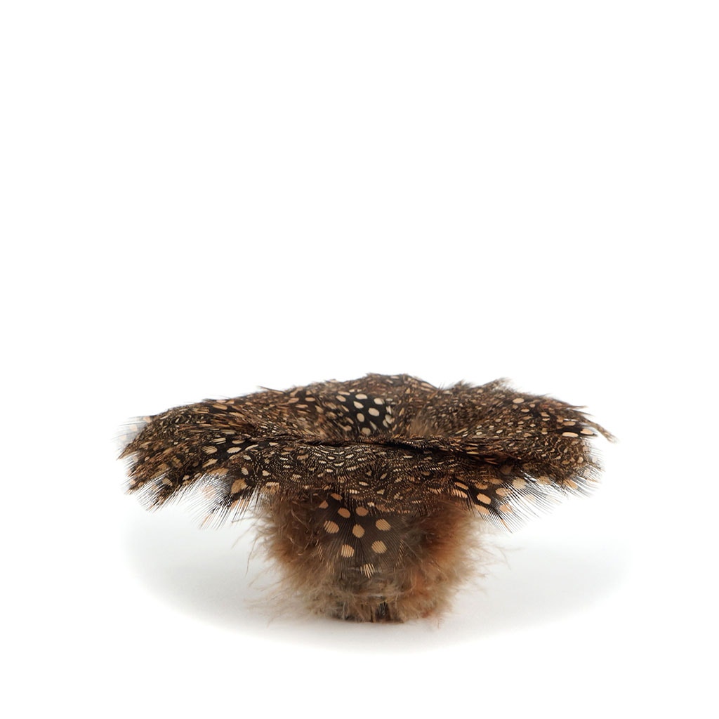 Guinea Plumage Feathers - Cinnamon - Feathers