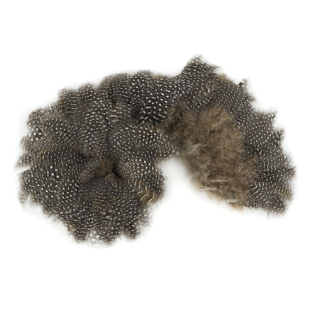 Guinea Plumage Feathers - Natural - Feathers