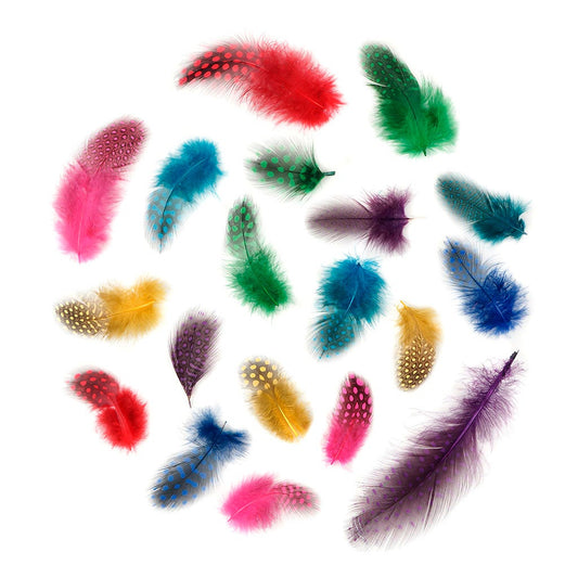 Guinea Plumage Mix Dyed - Classic Mix - Feathers