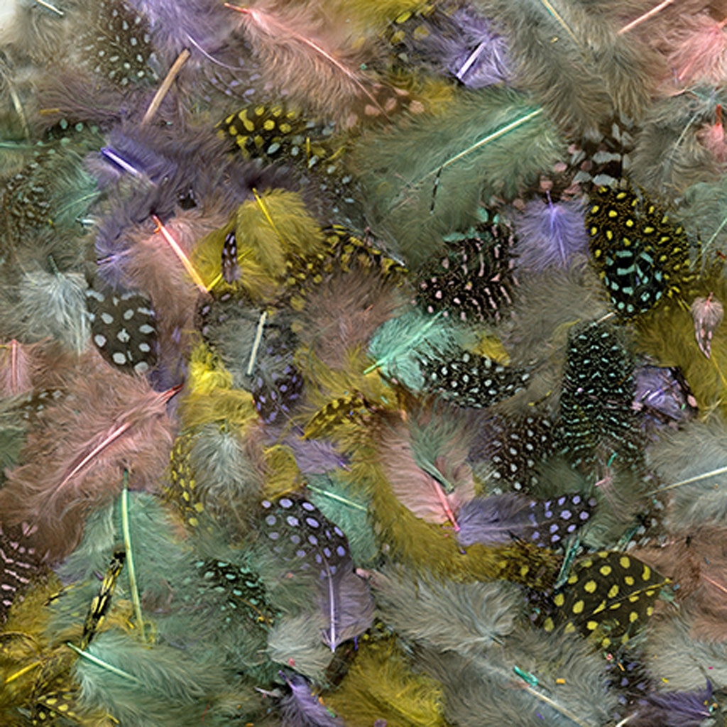 Guinea Hen Plumage Dyed Spring Mix Feather | Buy Wholesale Craft ...