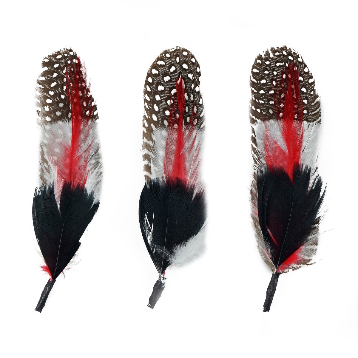 Guinea Rooster Turkey Feather Hat Trims - Black - Red - White - Natural - Feathers