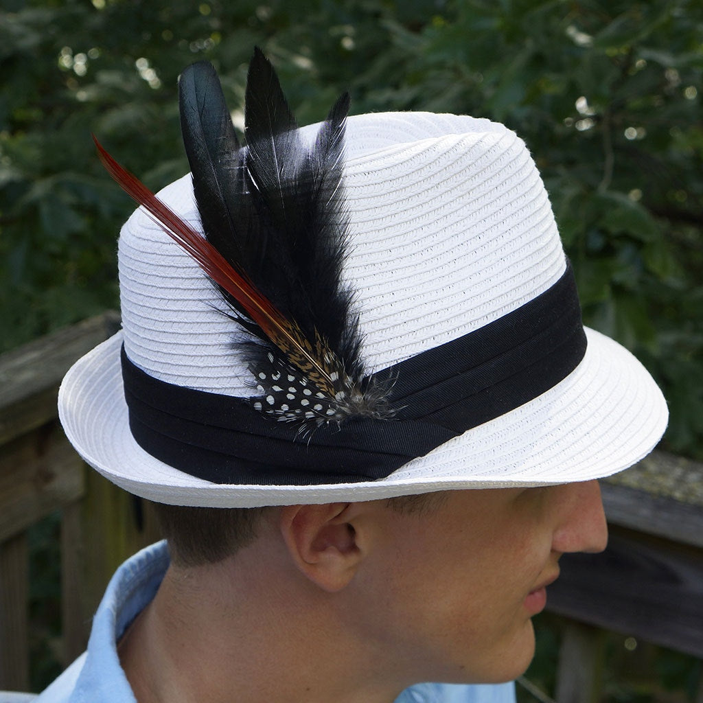 Hat Feather Trim With Black Rooster Coque and Guinea - Black Natural - Feathers