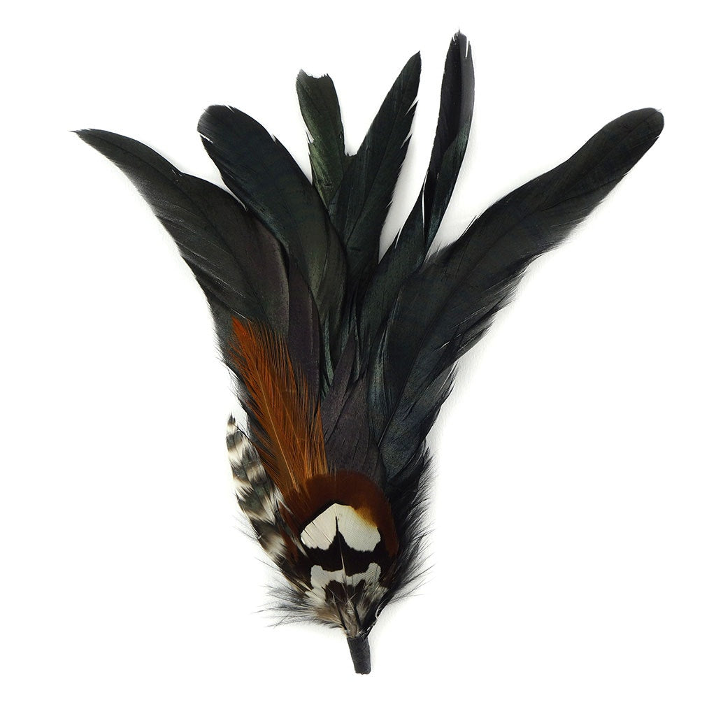 Hat Feather Trim With Black Rooster Coque and Venery - Black Natural - Feathers