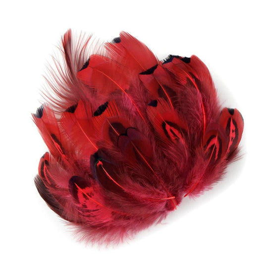 Heart Pheasant Plumage Dyed - Coral - Feathers