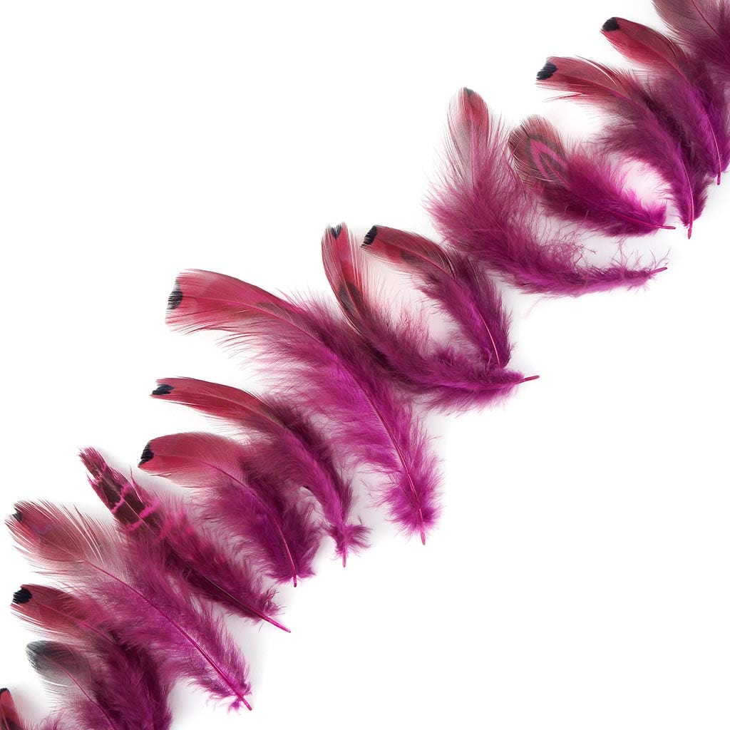 Heart Pheasant Plumage Dyed - Very Berry - Feathers