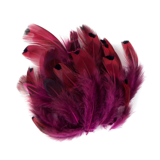 Heart Pheasant Plumage Dyed - Very Berry - Feathers