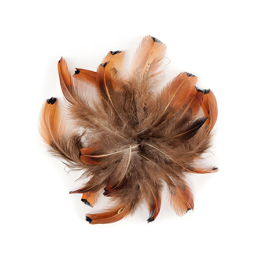 Heart Pheasant Plumage - Natural - Feathers