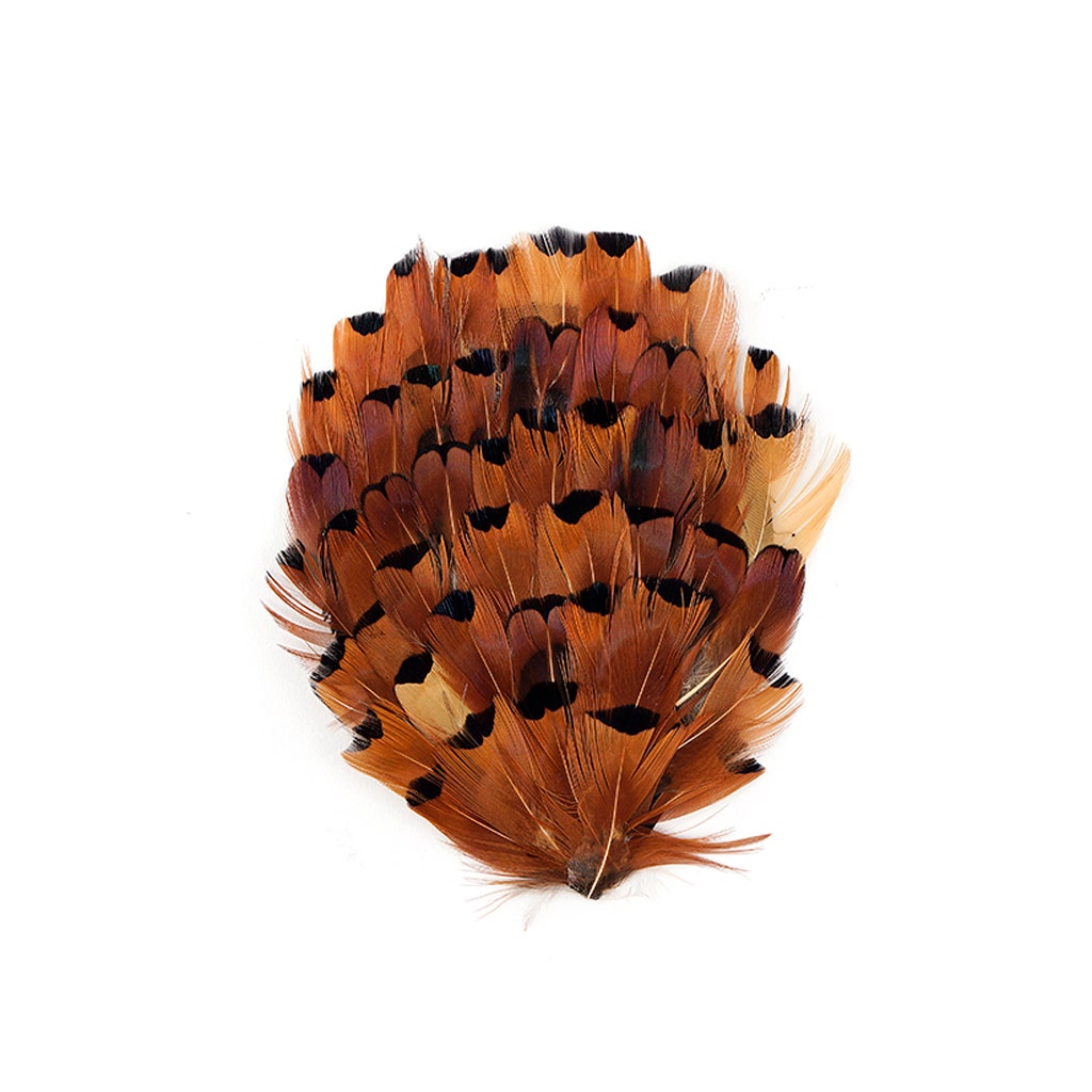 Heart Ringneck Feather Pad - Natural - Feathers