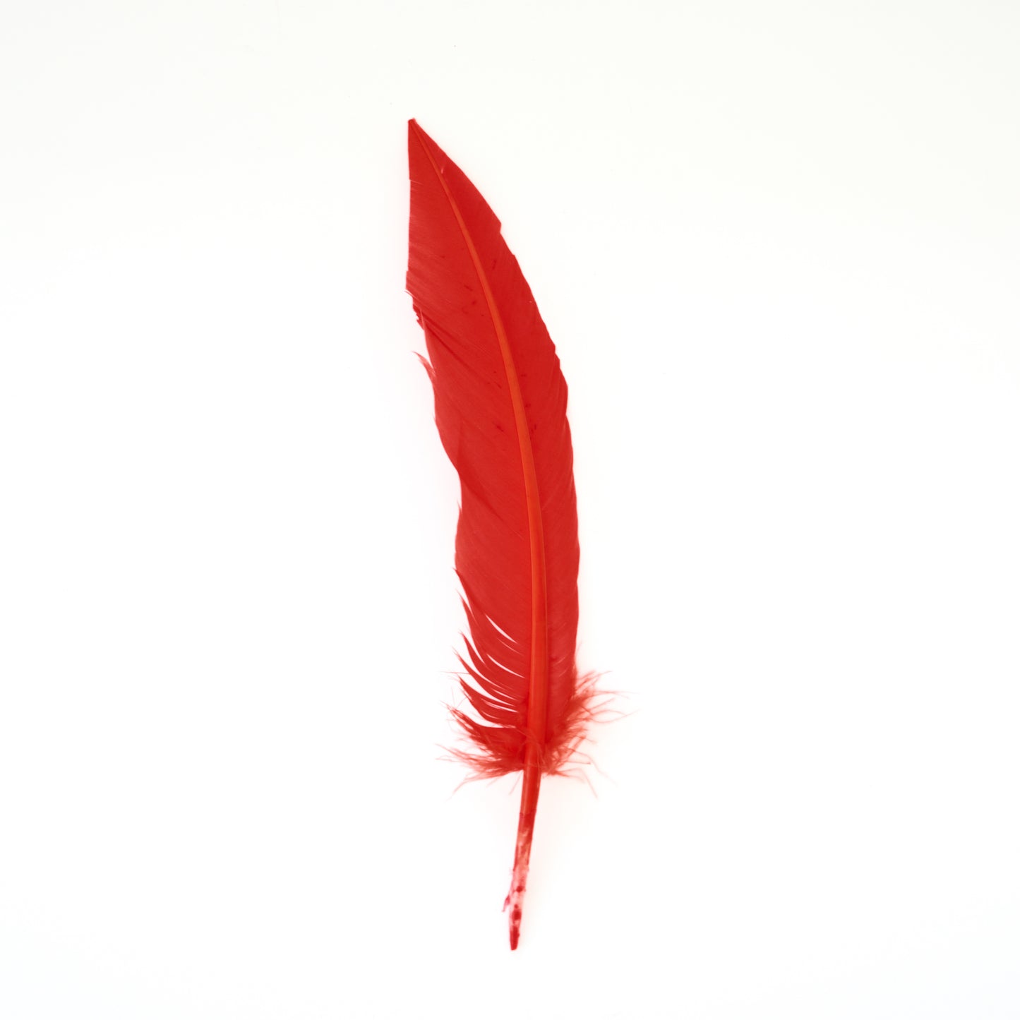 Hot Orange Dagger Turkey Quill Feathers 9-12"