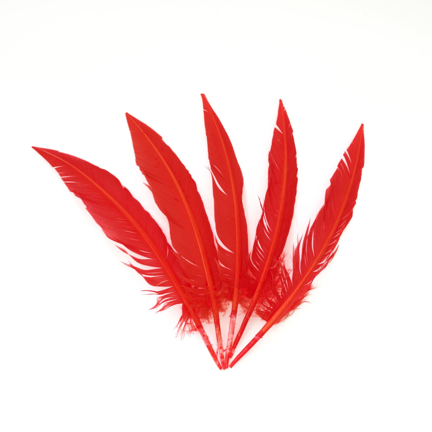Hot Orange Dagger Turkey Quill Feathers 9-12"