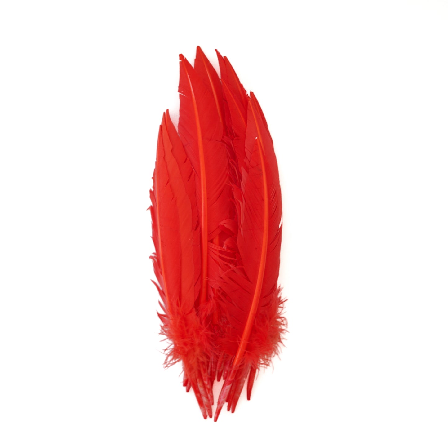 Hot Orange Dagger Turkey Quill Feathers 9-12"