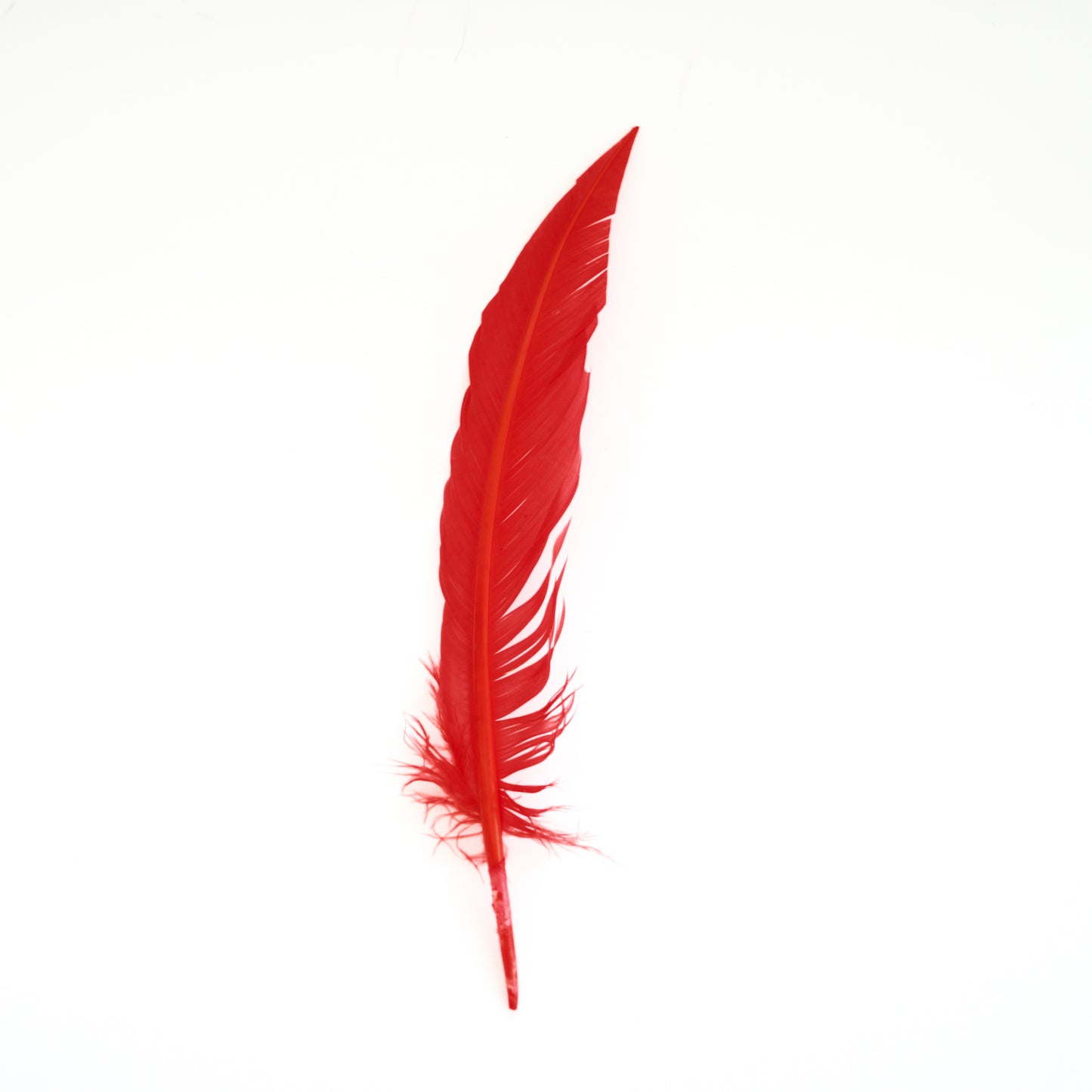 Hot Orange Dagger Turkey Quill Feathers 9-12"