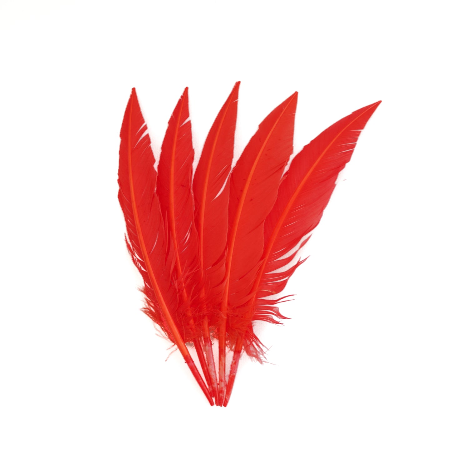 Hot Orange Dagger Turkey Quill Feathers 9-12"