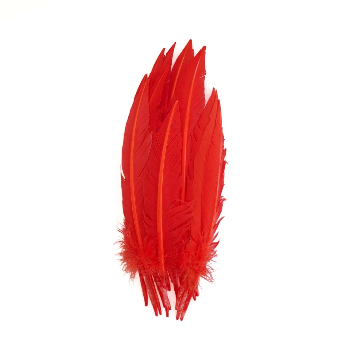 Hot Orange Dagger Turkey Quill Feathers 9-12"
