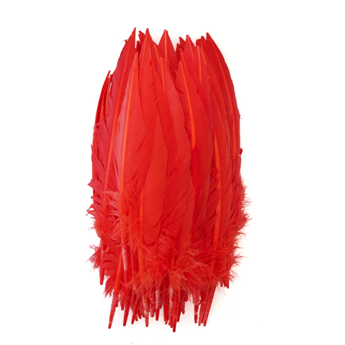 Hot Orange Dagger Turkey Quill Feathers 9-12"