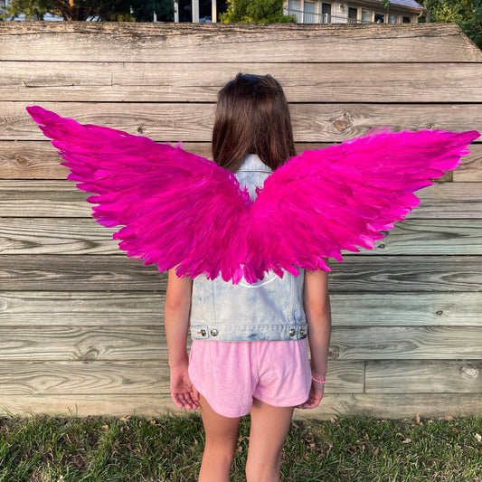 Hot Pink Fairy Wings - Feather Wings