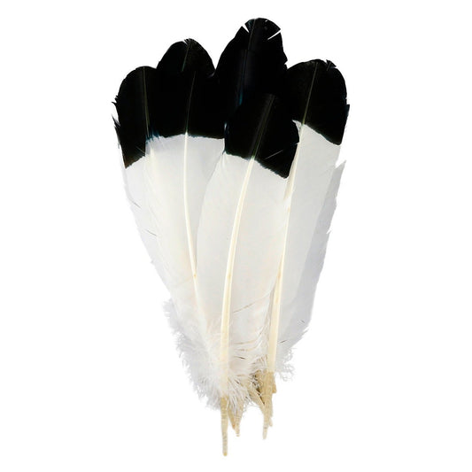 Imitation Eagle Turkey Quills - Black - Feathers