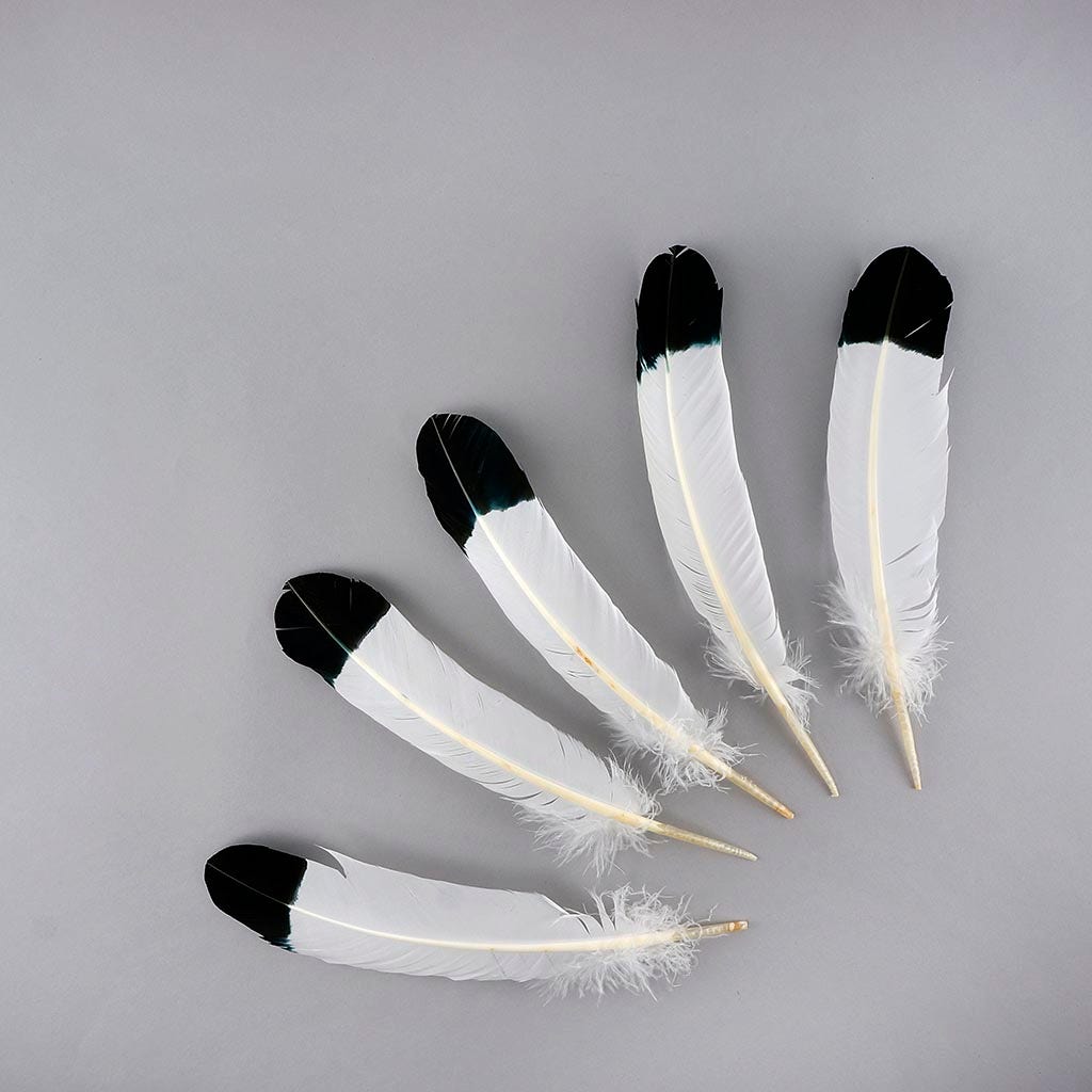 Imitation Eagle Turkey Quills - Black - Feathers