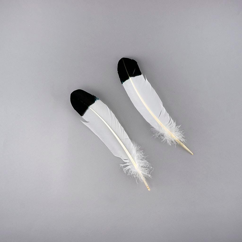 Imitation Eagle Turkey Quills - Black - Feathers