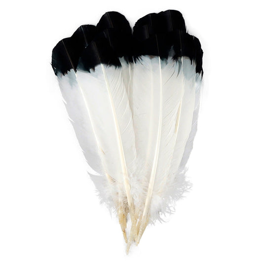 Imitation Eagle Turkey Quills - Black - Feathers