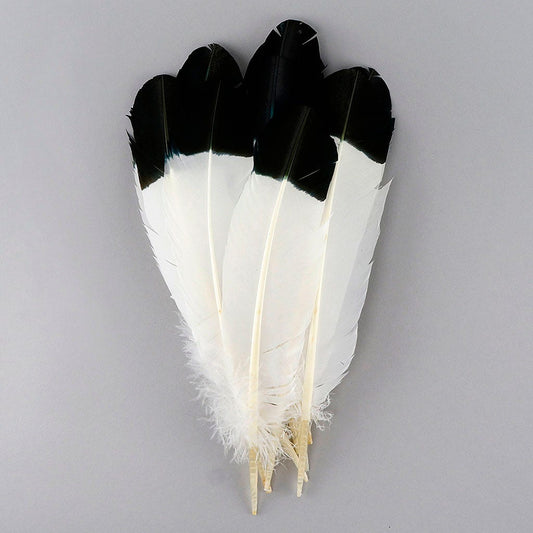 Imitation Eagle Turkey Quills - Black - Feathers