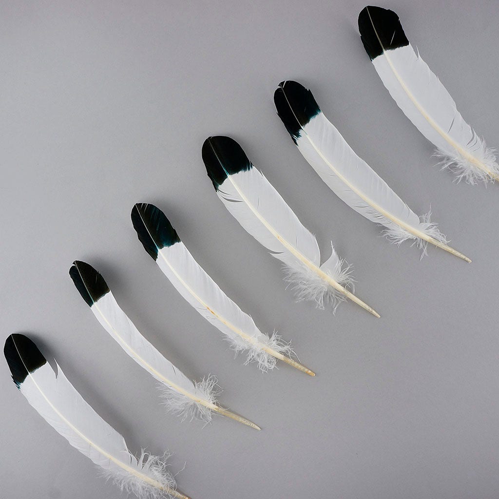 Imitation Eagle Turkey Quills - Black - Feathers