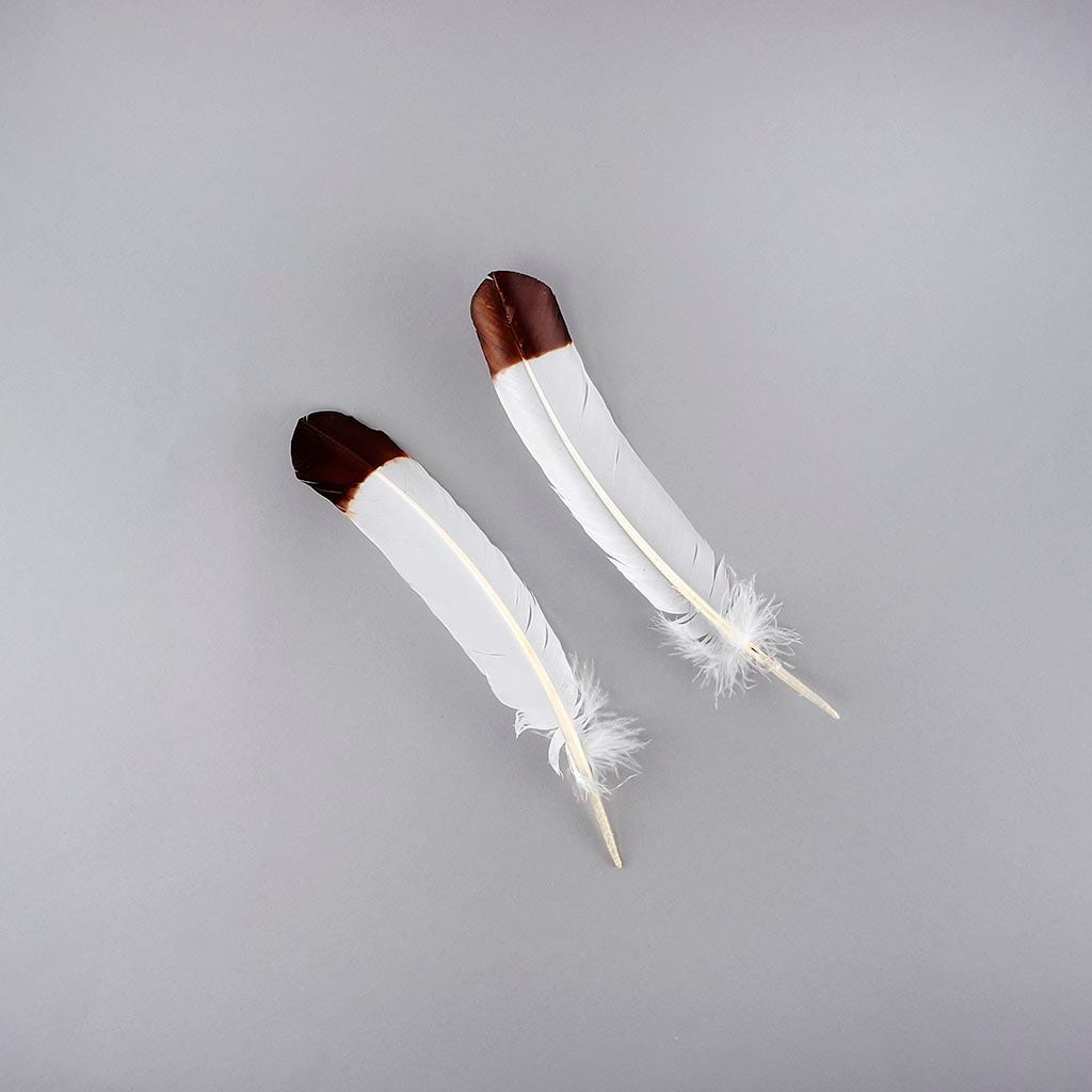 Imitation eagle turkey quills brown tipped feathers pair