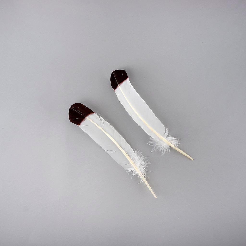 Imitation Eagle Turkey Quills - Brown - Feathers