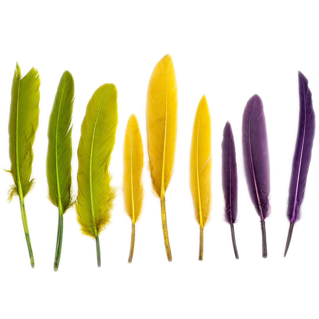 Indian Feathers | Loose Duck Cosse | Mardi Gras (Yellow/Green/Purple) - Feathers