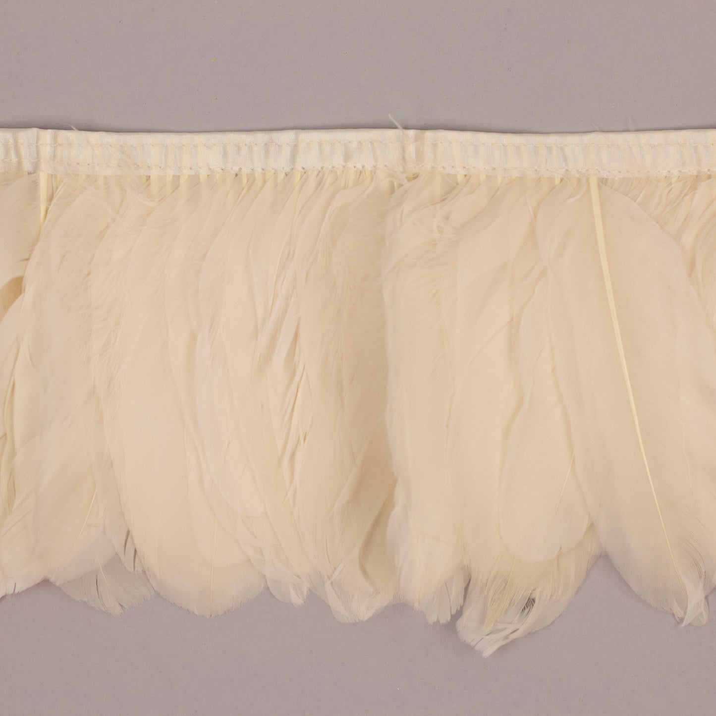 Goose Pallets Parried Fringe With Bias 6 inch   1yd Bolt --Ivory