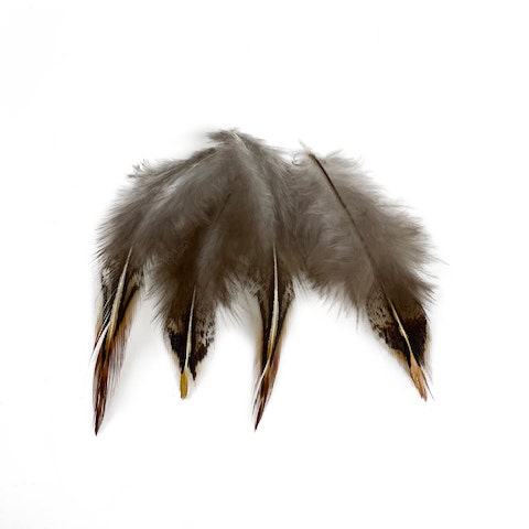 Jungle Cock Body Feather Tips Loose 2-3’’ 10 PC/PKG - Feathers