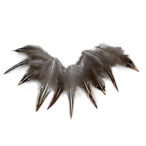 Jungle Cock Body Feather Tips Loose 2-3’’ 10 PC/PKG - Feathers