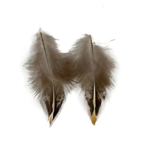 Jungle Cock Body Feather Tips Loose 2-3’’ 10 PC/PKG - Feathers