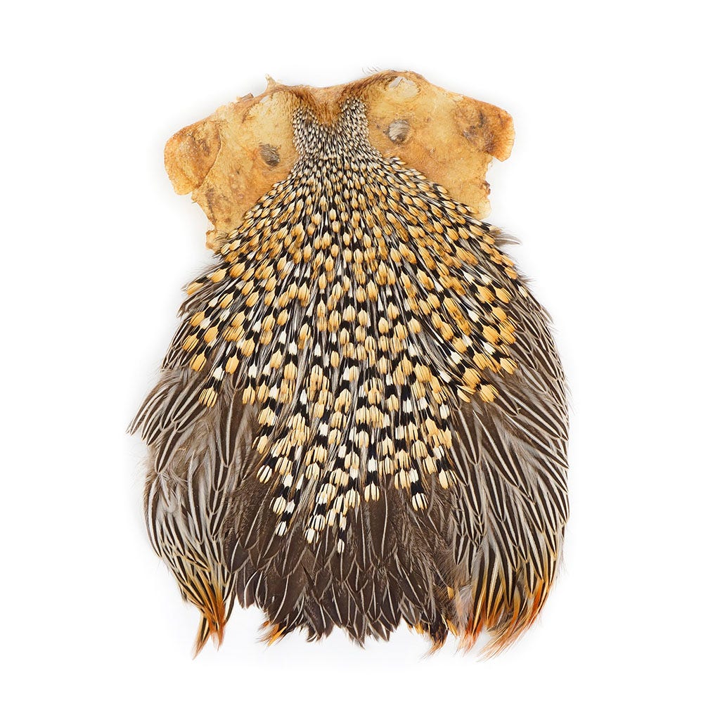 Jungle Cock Feather Cape - Natural - Feathers