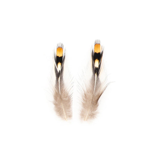 Jungle Cock Natural Gold Eye Loose.25-1.25’’ 20 pc/pkg - Feathers