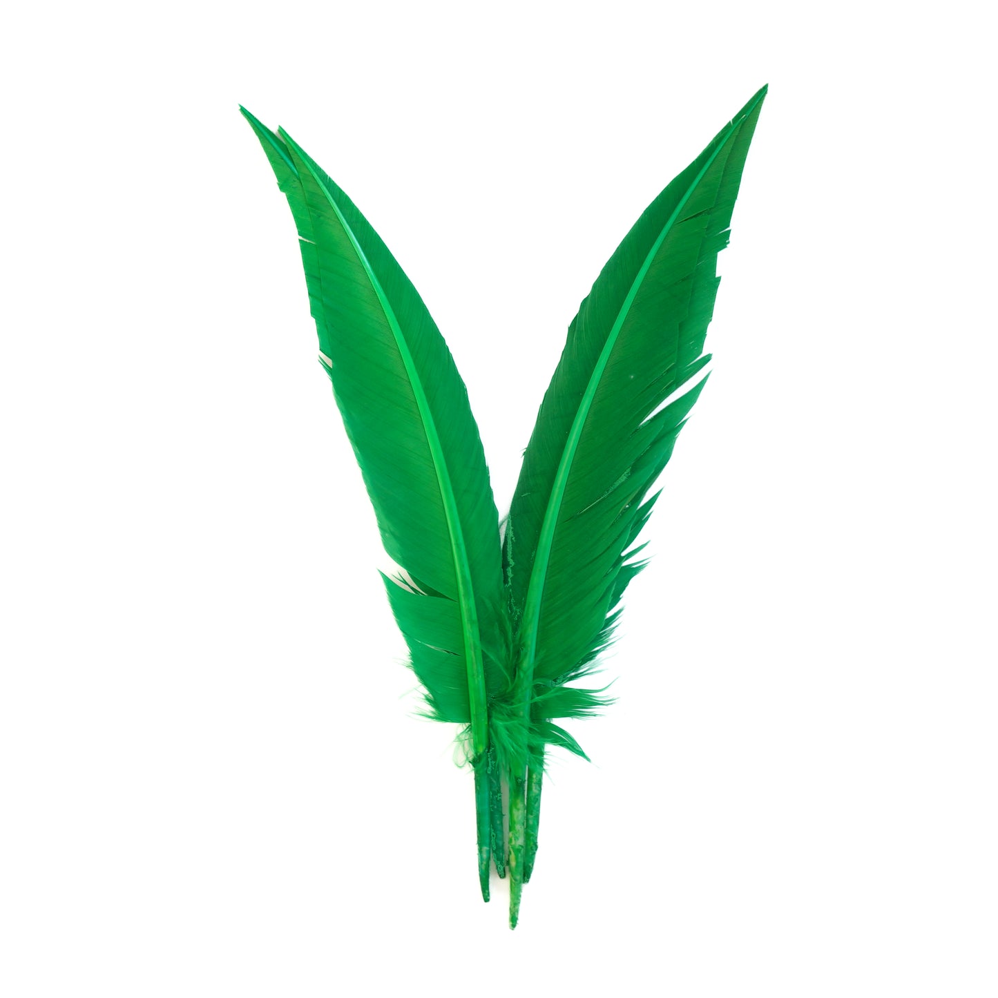 Kelly Green Dagger Turkey Quill Feathers 9-12"