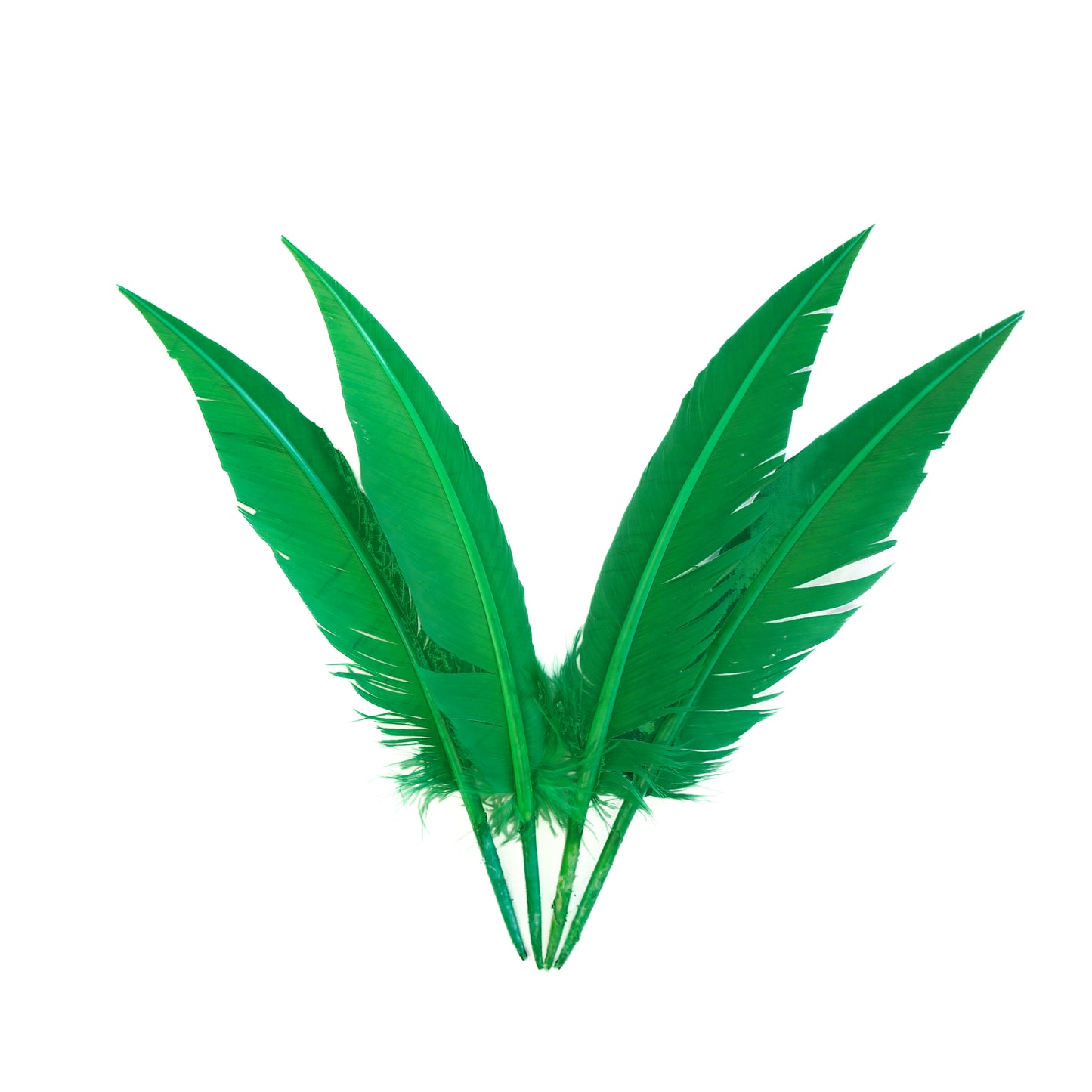 Kelly Green Dagger Turkey Quill Feathers 9-12"