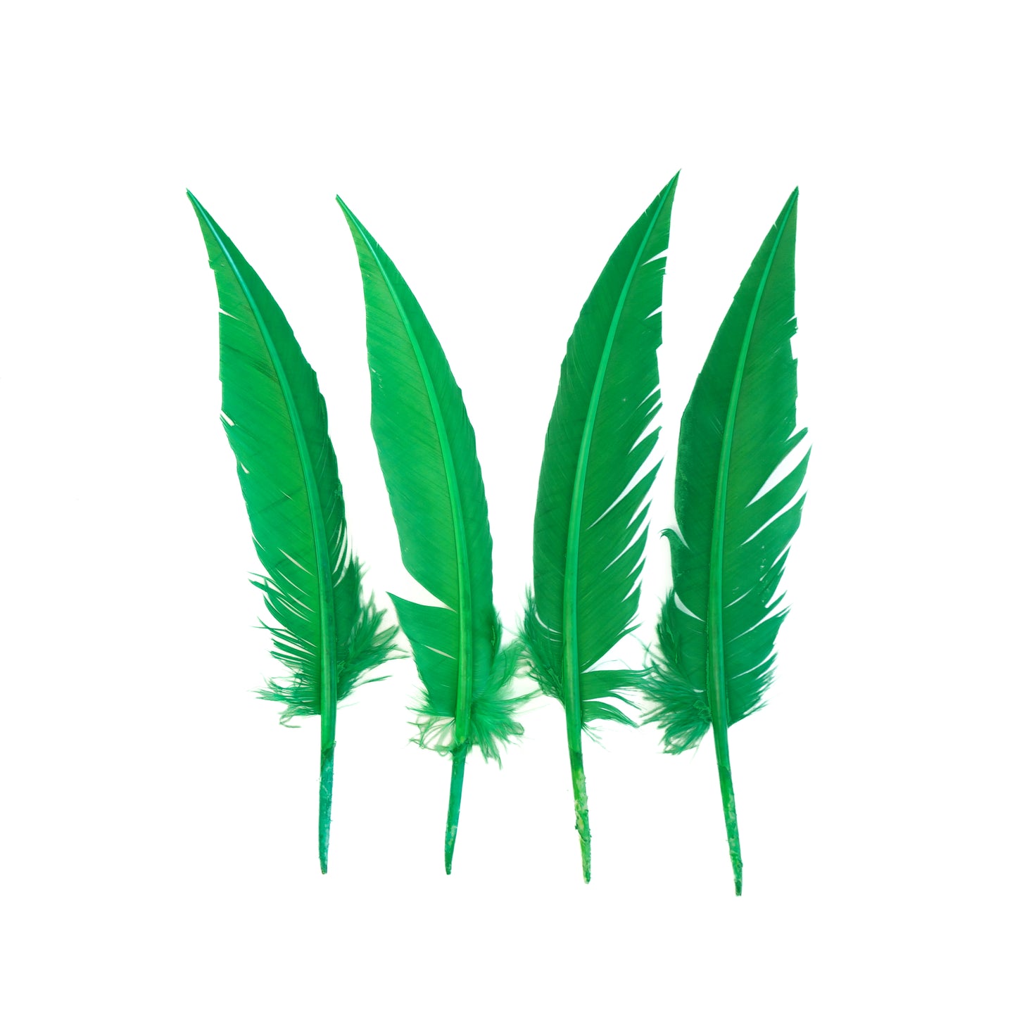 Kelly Green Dagger Turkey Quill Feathers 9-12"