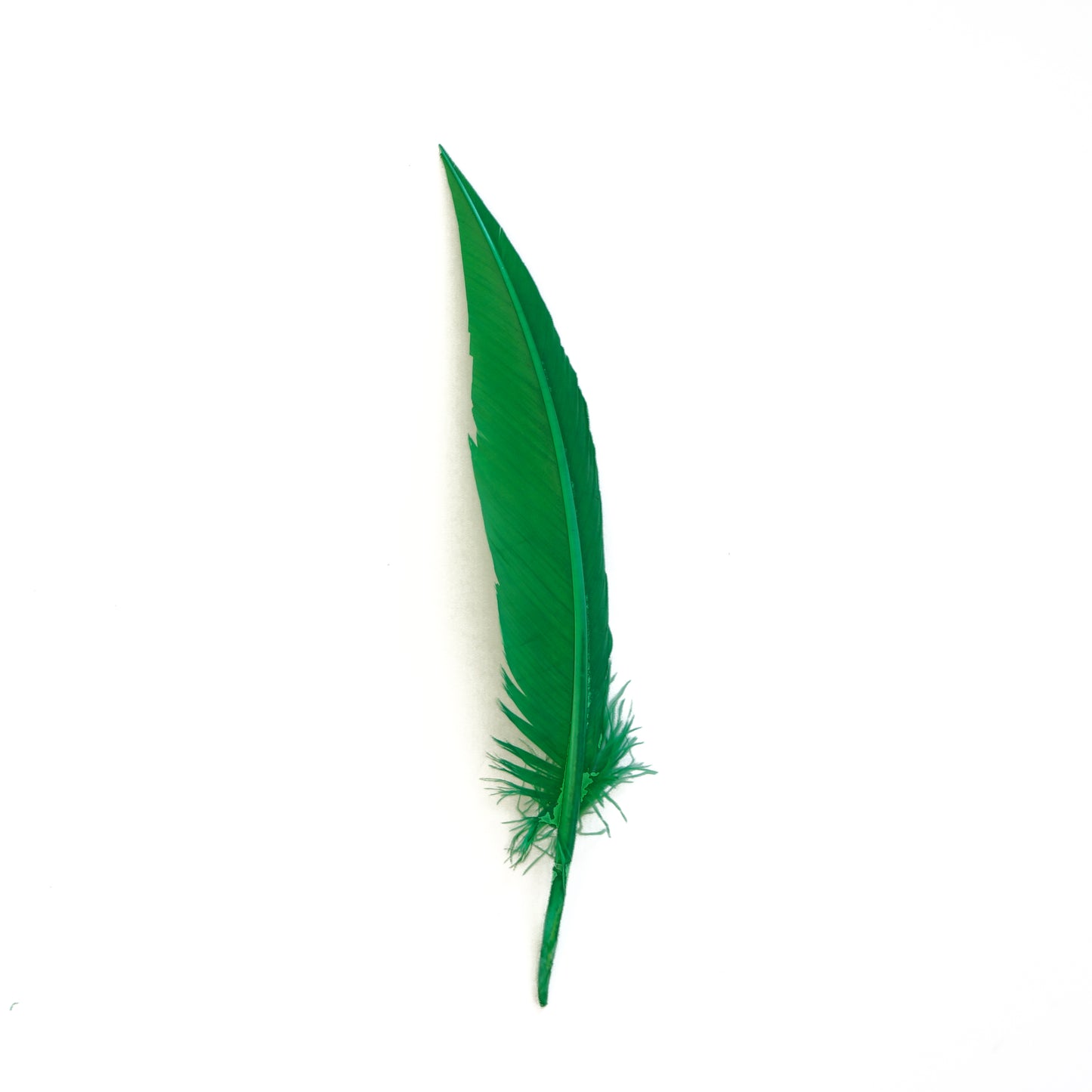 Kelly Green Dagger Turkey Quill Feathers 9-12"
